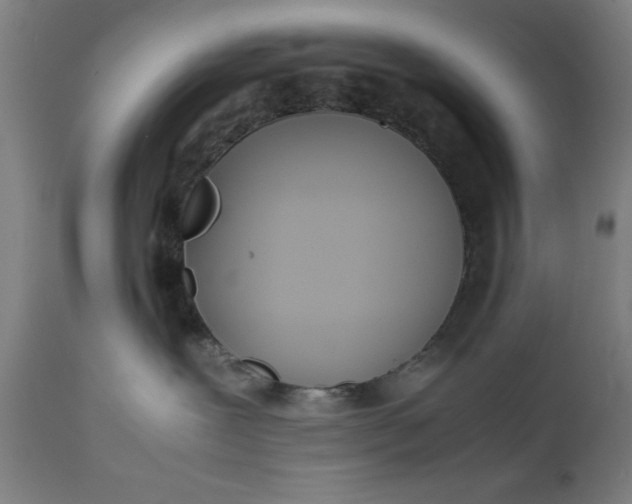 X0000111630239200907311235