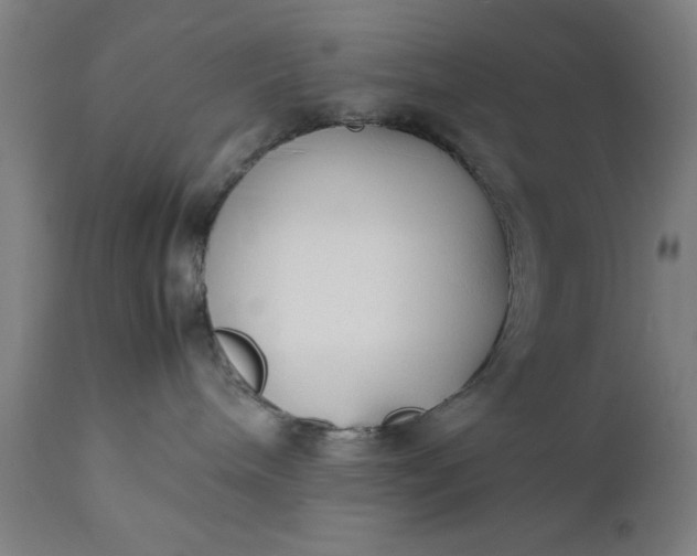 X0000111630240200907311235