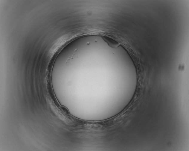 X0000111630242200907311234