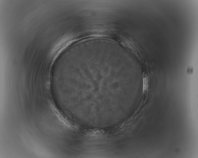 X0000111630243200907311234