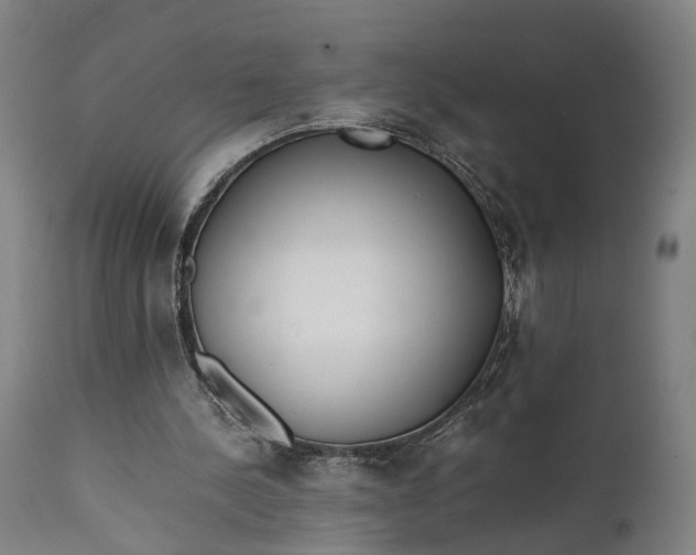 X0000111630244200907311234