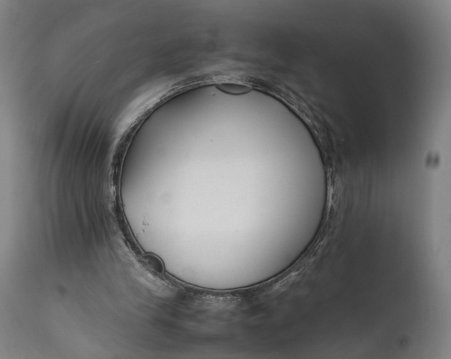 X0000111630245200907311234