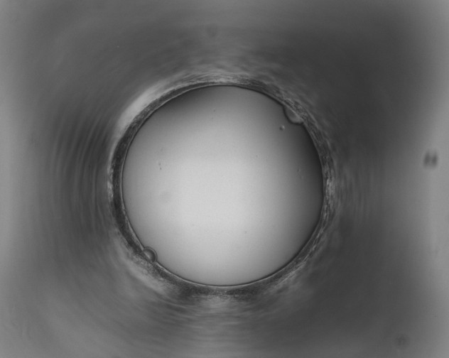 X0000111630246200907311234