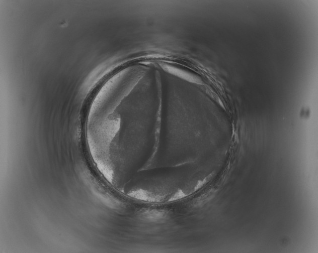 X0000111630247200907311234