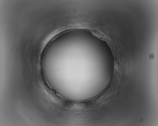 X0000111630248200907311234