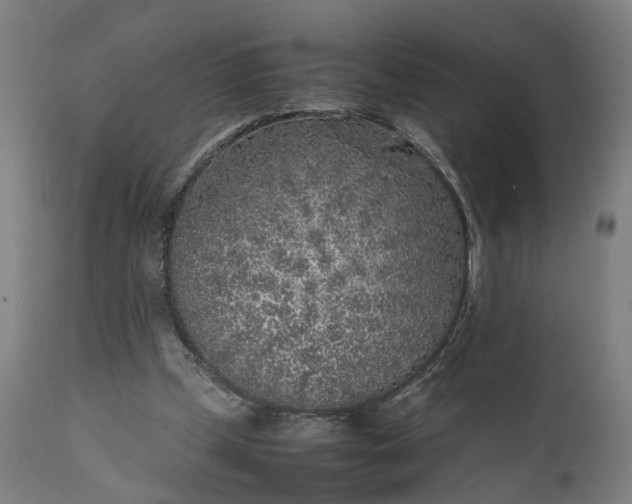 X0000111630249200907311234