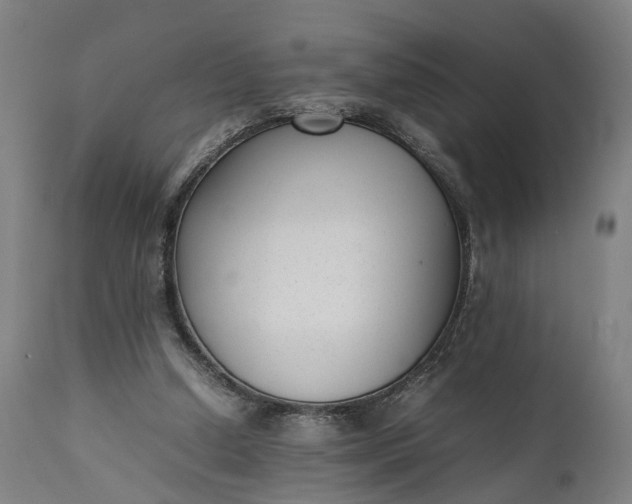 X0000111630250200907311234