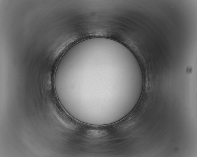 X0000111630251200907311234