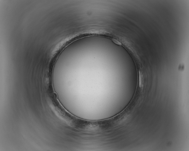 X0000111630252200907311234