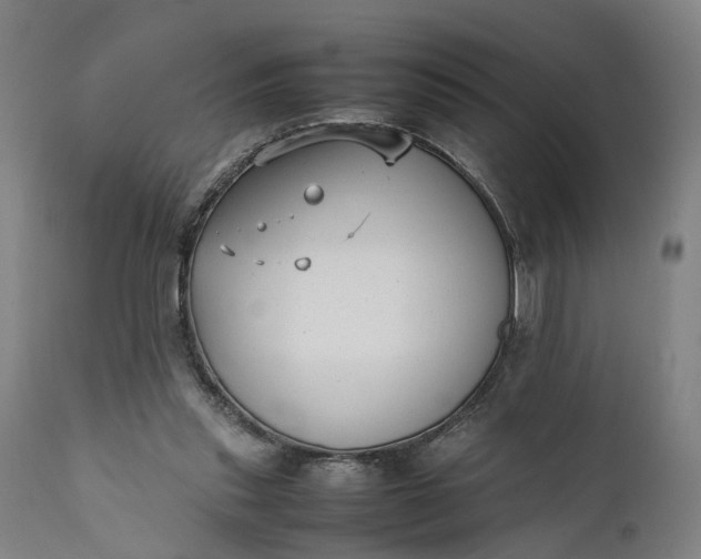 X0000111630253200907311234