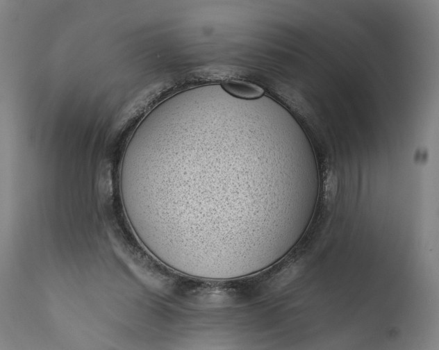 X0000111630254200907311234