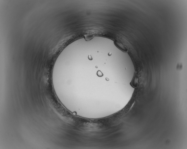 X0000111630255200907311234