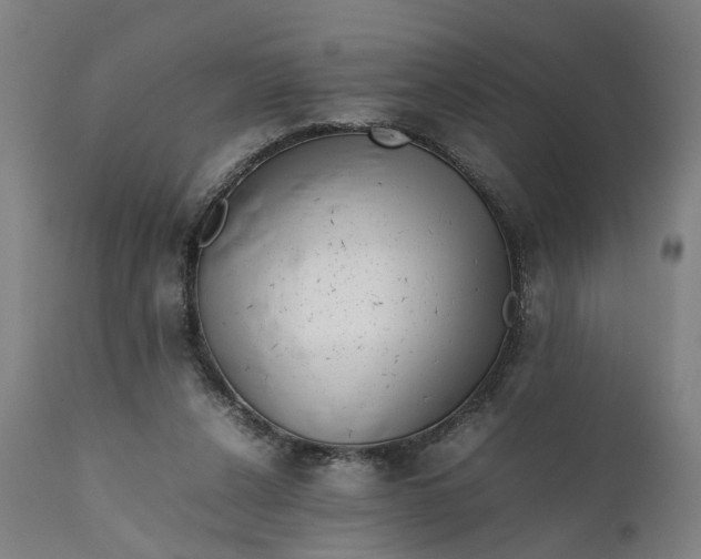 X0000111630256200907311234