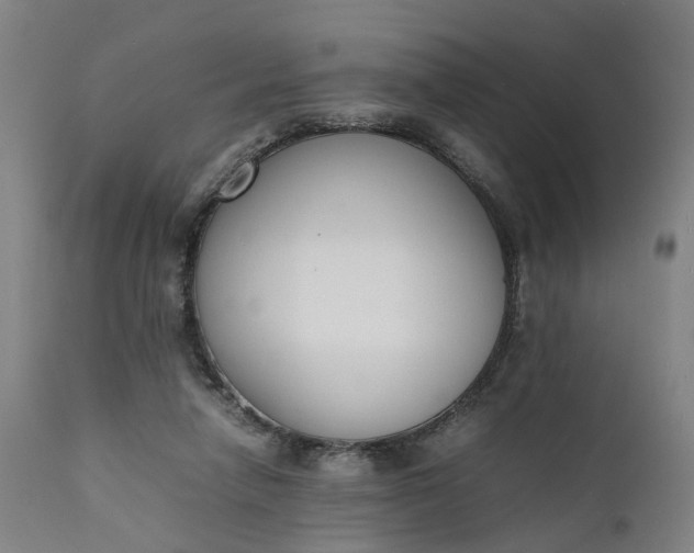 X0000111630258200907311234