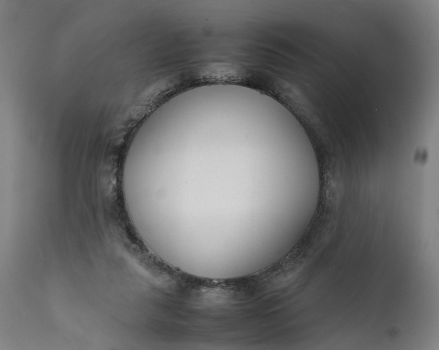 X0000111630259200907311234