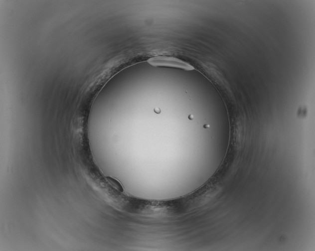 X0000111630260200907311234