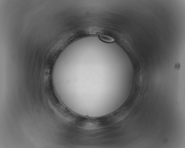 X0000111630263200907311234