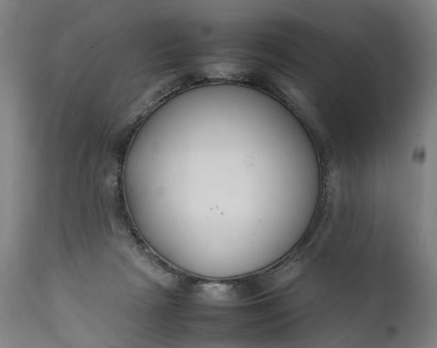 X0000111630265200907311234