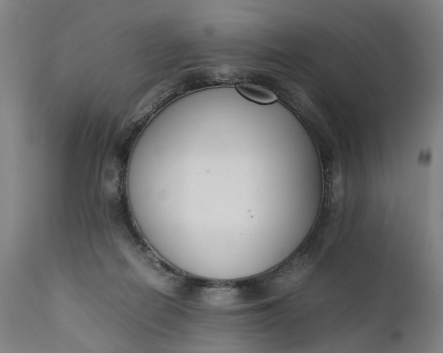 X0000111630266200907311234