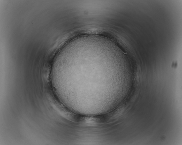 X0000111630268200907311234