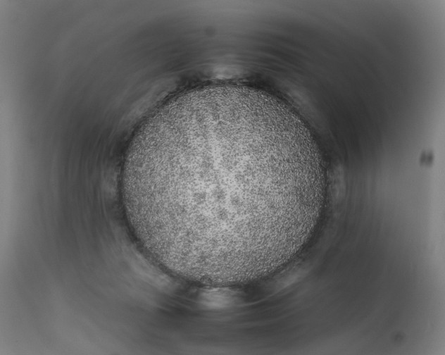 X0000111630269200907311234