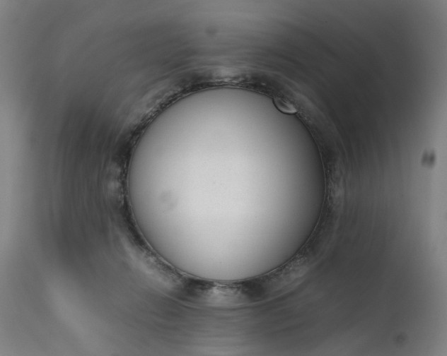 X0000111630270200907311234