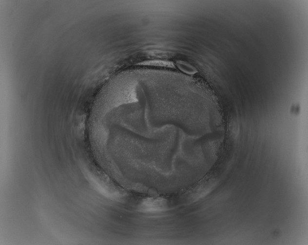 X0000111630271200907311234