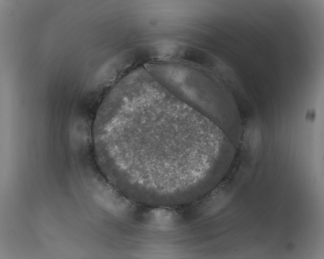 X0000111630272200907311234