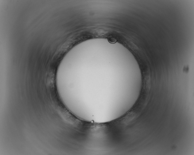 X0000111630274200907311234