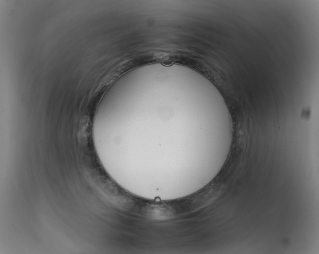 X0000111630275200907311234