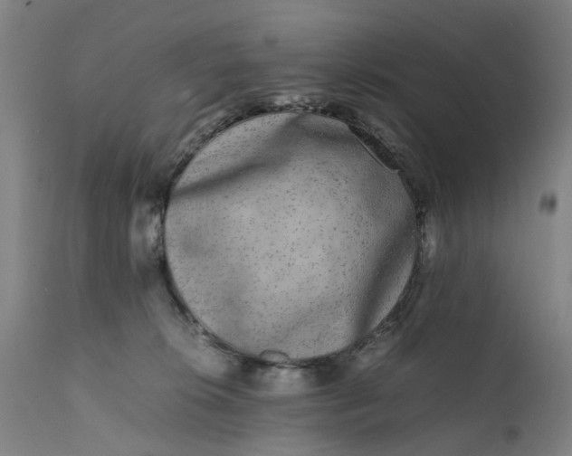 X0000111630276200907311234