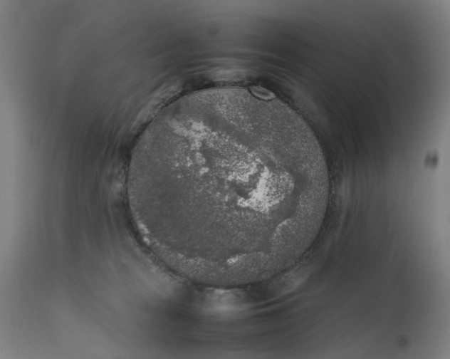 X0000111630277200907311234