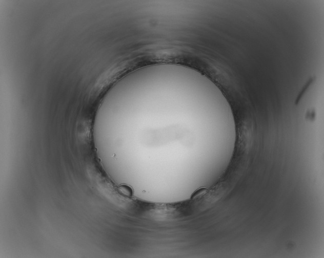 X0000111630278200907311234