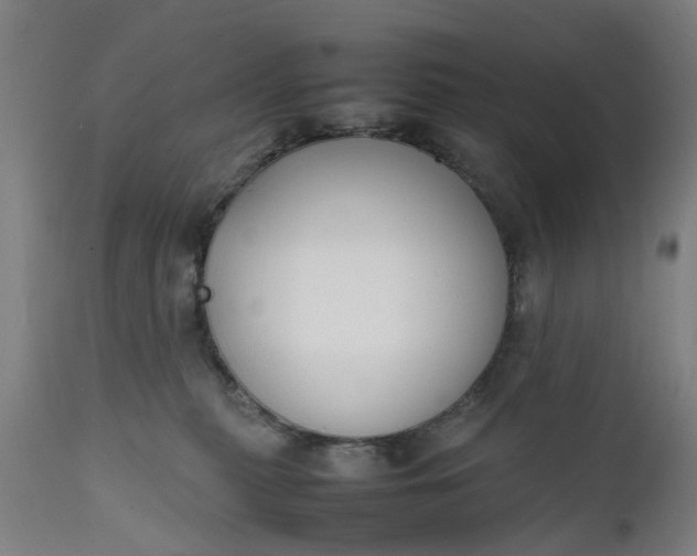 X0000111630279200907311234