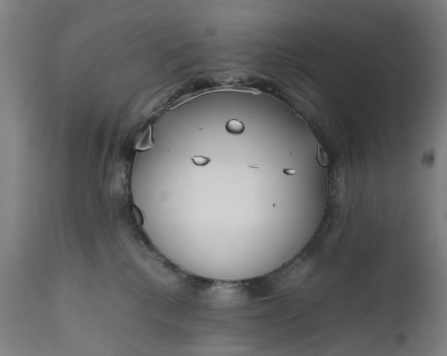 X0000111630280200907311234