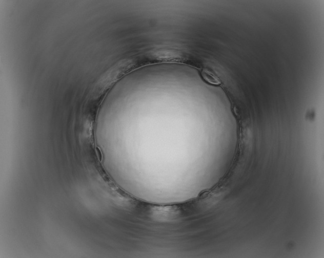 X0000111630281200907311234