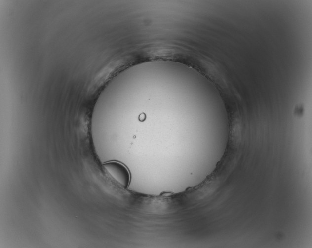 X0000111630282200907311235