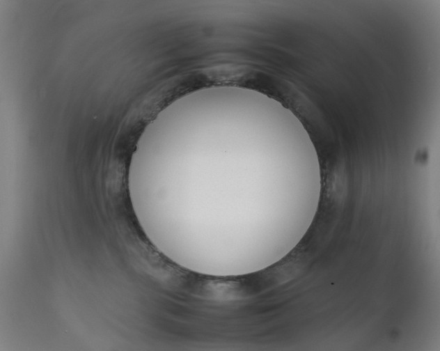 X0000111630283200907311235