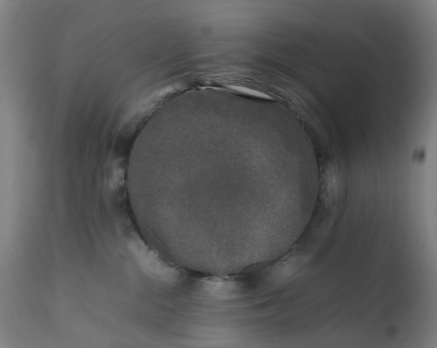 X0000111630284200907311235