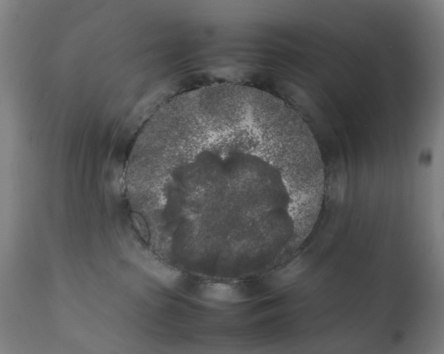 X0000111630285200907311235