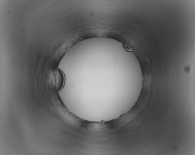 X0000111630286200907311235