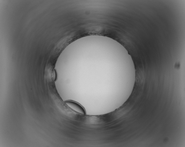 X0000111630287200907311235