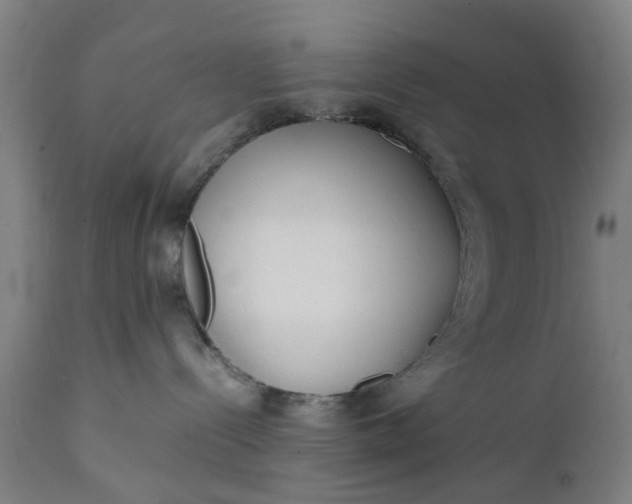 X0000111630288200907311235