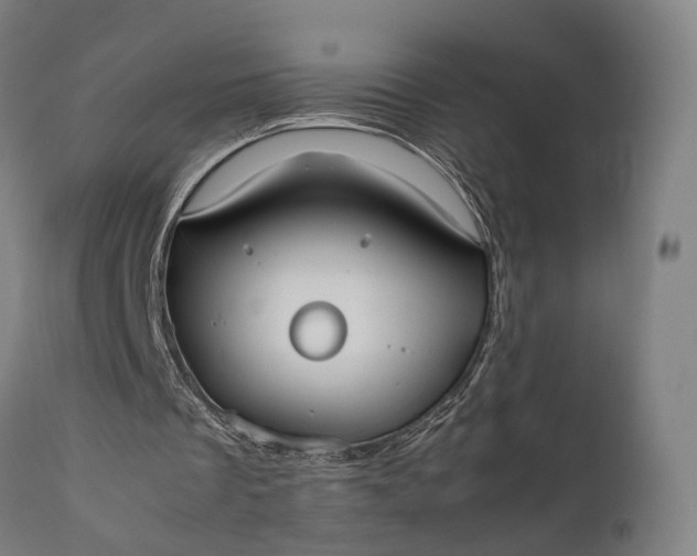 X0000111630289200907311234