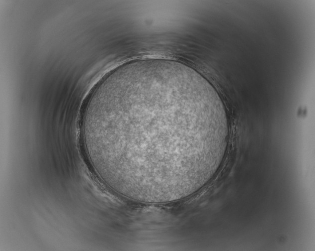 X0000111630290200907311234