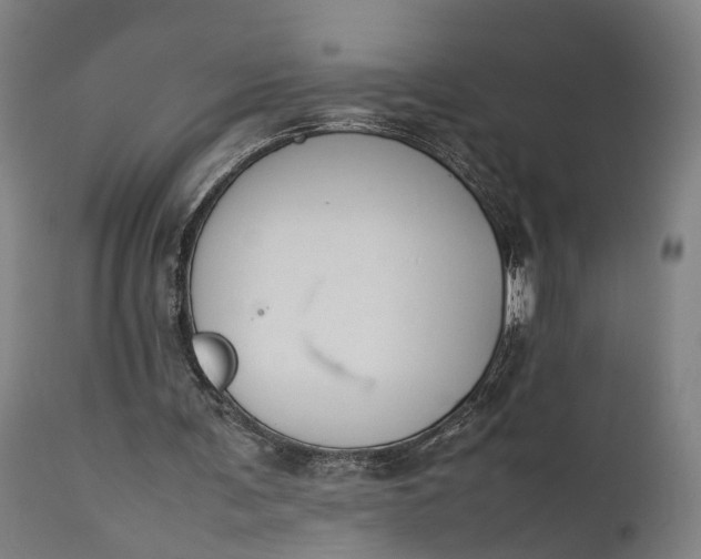 X0000111630291200907311234