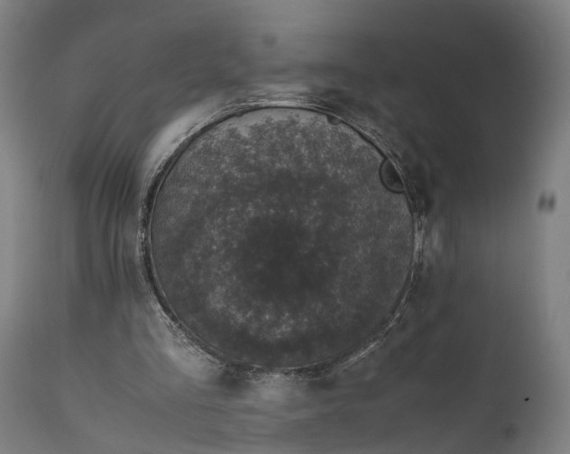 X0000111630293200907311234