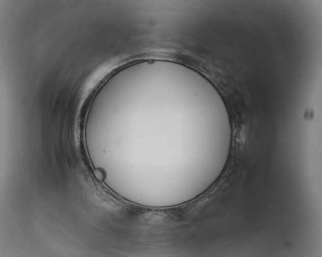 X0000111630294200907311234