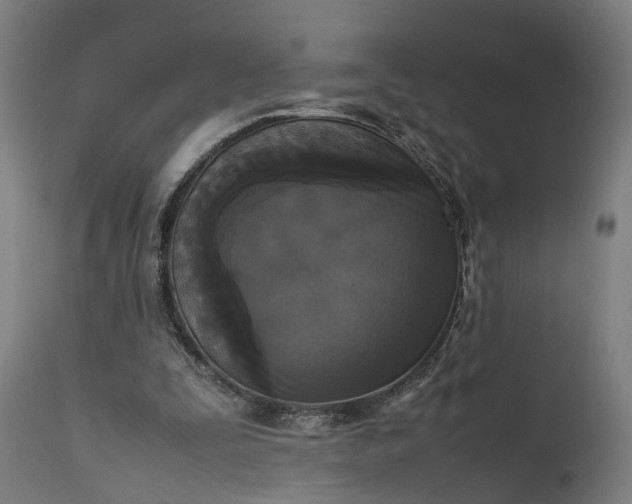 X0000111630295200907311234