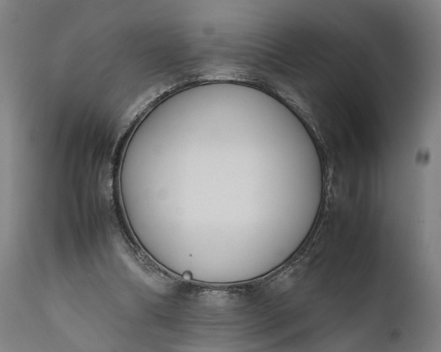 X0000111630298200907311234